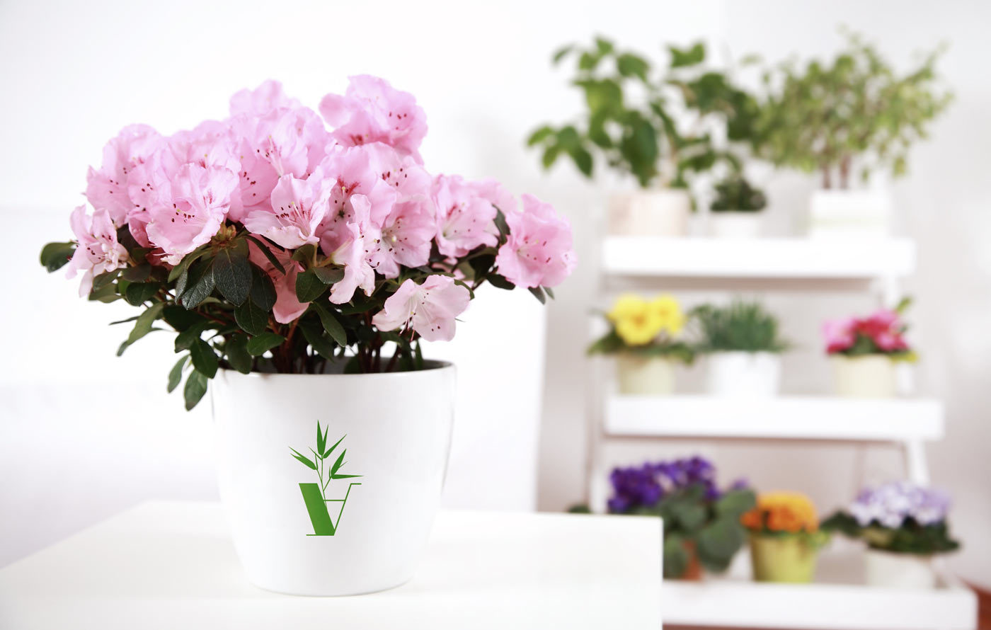 Создание логотипа и фирменного стиля магазина цветов Artplants